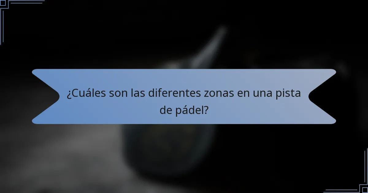 ¿Cuáles son las diferentes zonas en una pista de pádel?